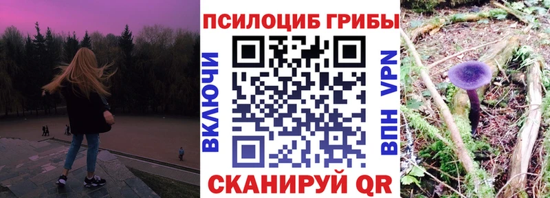 Галлюциногенные грибы Psilocybe  Ульяновск 